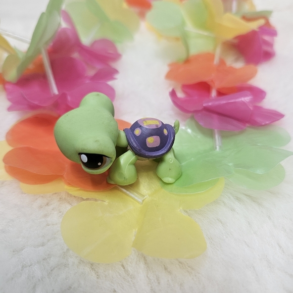My Littlest Pet Shop Turtle loose figure LPS - Picture 2 of 7